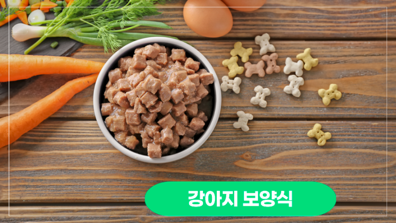 강아지 보양식: 노령견을 위한 여름철 보양식 7선