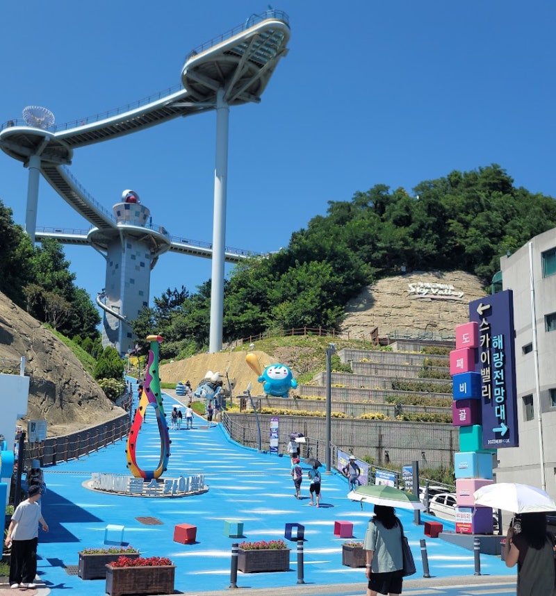 동해 관광 필수 코스 묵호 도째비골 스카이밸리 그리고 해랑전망대