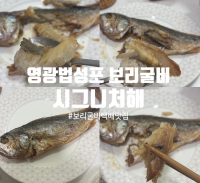 영광 법성포 보리굴비 선물세트 후기