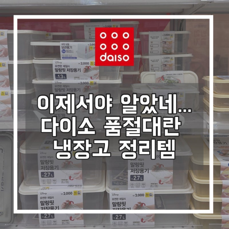 다이소 품절대란 냉장고 정리템과 함께 냉장고 정리법 알아보기
