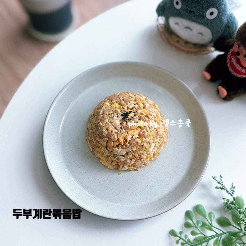 -11kg 감량한 한의사가 알려준 뱃살 쏙 빠지는! 고단백 요리 다이어트 두부 계란볶음밥 레시피