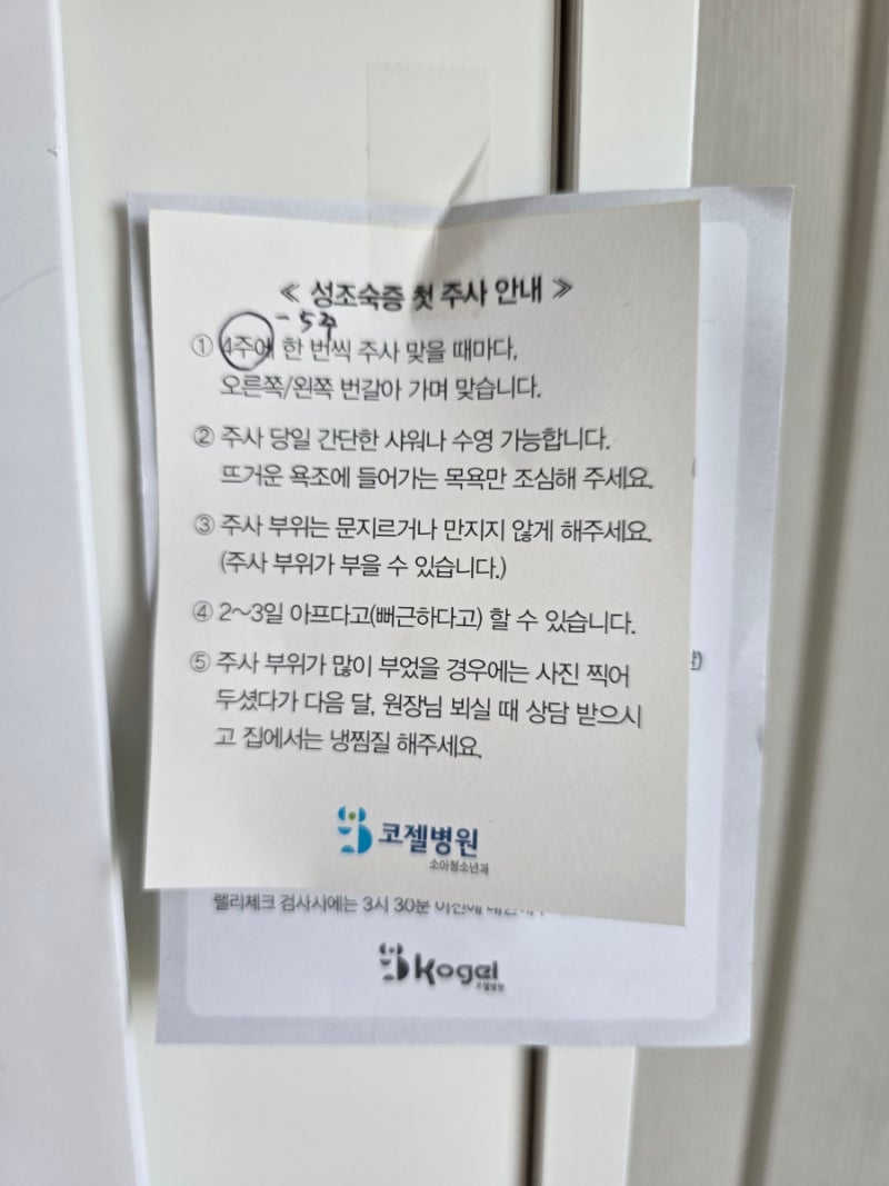 대전 초3 성조숙증 주사 성장판검사 결국 치료 시작
