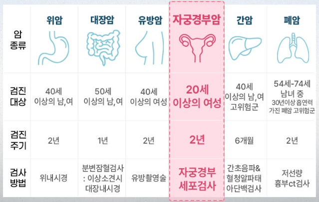 자궁경부암 검진 주기 방법 총정리 및 검사후기 (2026 국가검진)