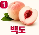 무슨 종류가 이렇게 많아?'복숭아' 종류별 특징 & 고르는 법!! (백도부터 납작복숭아까....