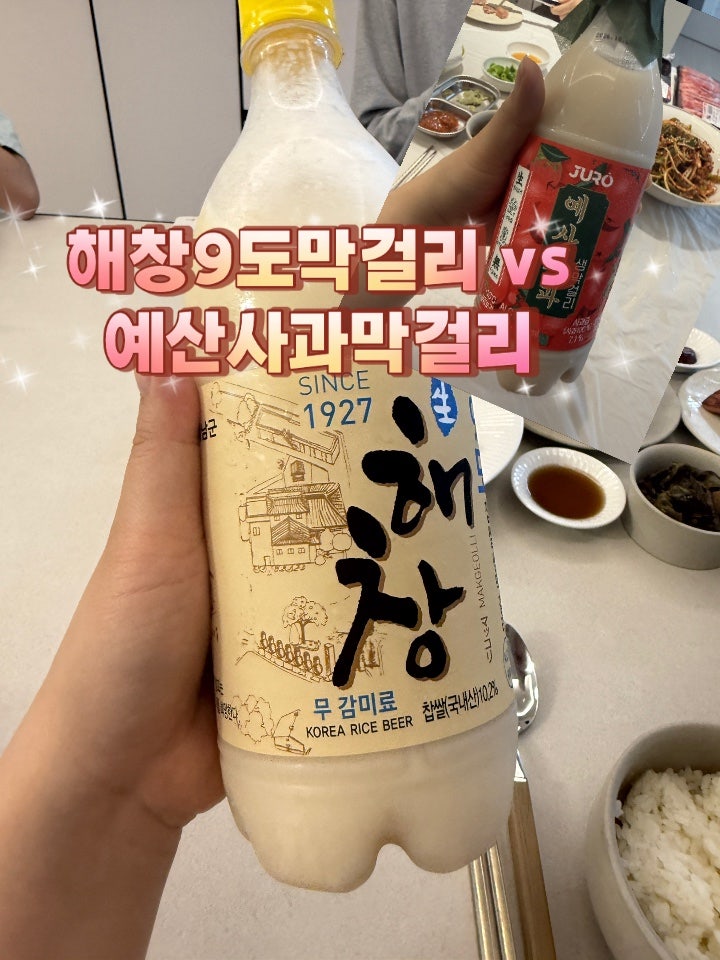해창막걸리 9도 vs 예산사과막걸리 솔직 후기 (천안 갤러리아 구매)