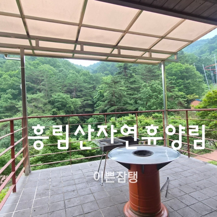 흥림산 사진 1