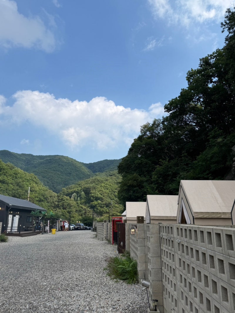 [서울 근교 강아지 동반 캠프닉 ] 양주 캠프랩 후기