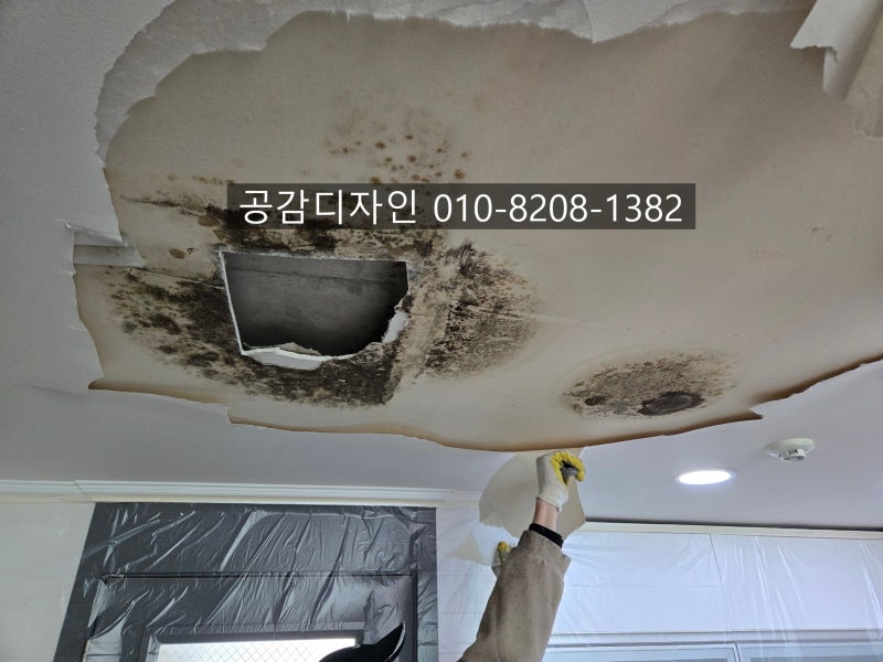 아파트 욕실 인테리어, 방수 공사 안 하면 큰일 납니다! 올바른 정석 시공 vs 약식 시공 비교
