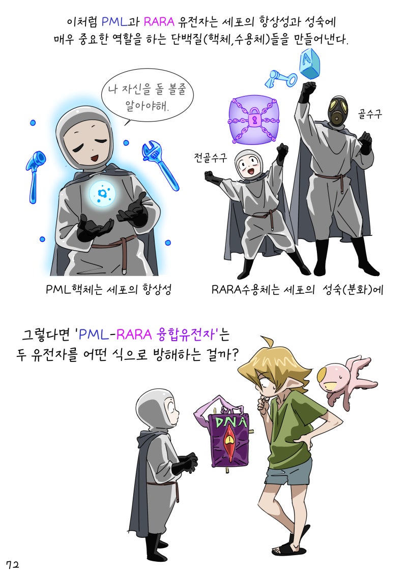 급성전골수성백혈병(APL,M3) 이란 무엇인가? 1-5(PML-RARA 융합 유전자)(하)
