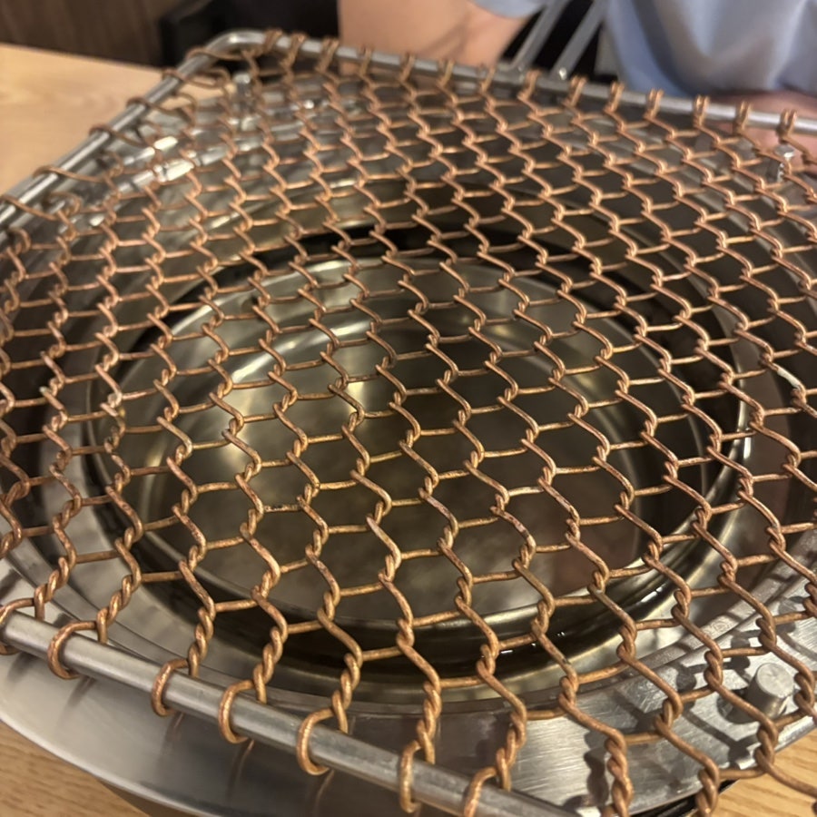 꼼양 사진 2