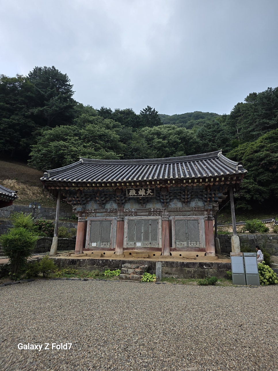 고창 문수사 단풍나무 숲 사진 4