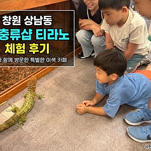 창원 상남동 도마뱀 이색카페 파충류카페 티라노