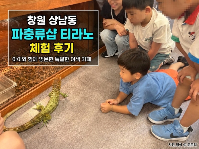 창원 상남동 도마뱀 이색카페 파충류카페 티라노