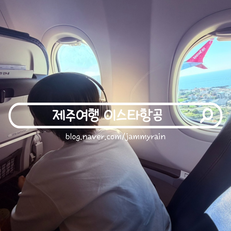 제주도 항공권 김포공항 국내선 이스타항공 이용 후기