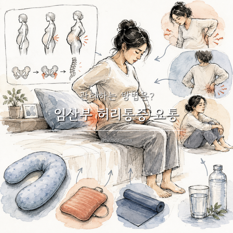 임산부 허리통증 요통 원인 증상 관리하는 방법은?