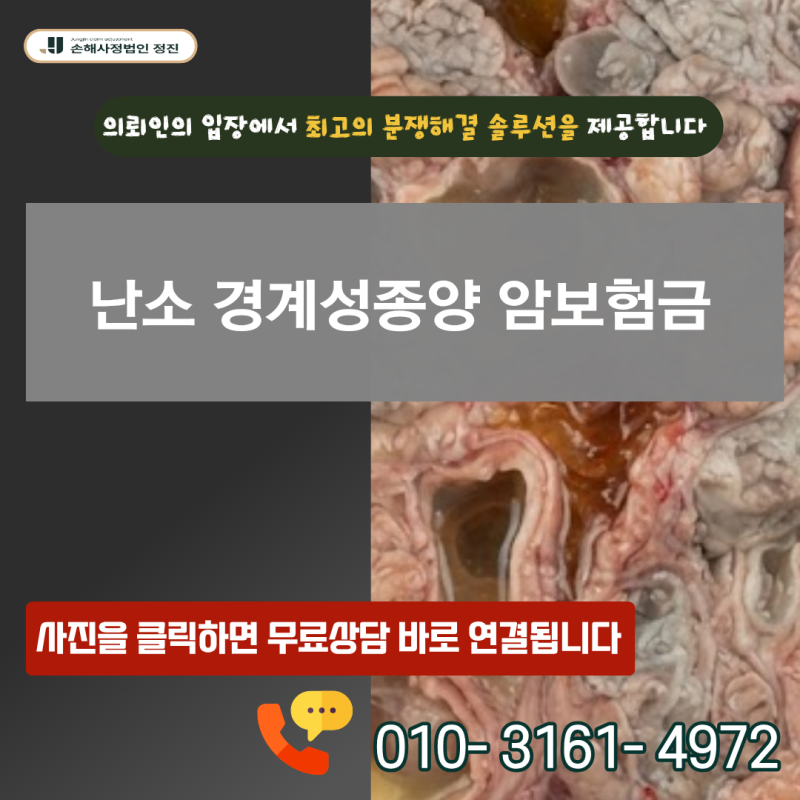 난소 경계성종양 암보험금, D39.1 진단 시 일반암 전액을 지급받는 방법은 무엇일까?