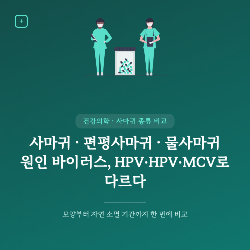 사마귀 종류 비교, 물사마귀 편평사마귀 차이 총정리