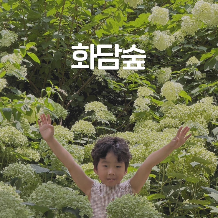 곤지암리조트 근처 가볼만한 곳 여름 화담숲 수국축제 모노레일 식당