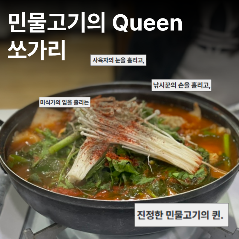 [충북/단양] 민물고기의 퀸은 역시 매운탕도 달라... '그집 쏘가리' (단양 쏘가리 매운탕 블루....