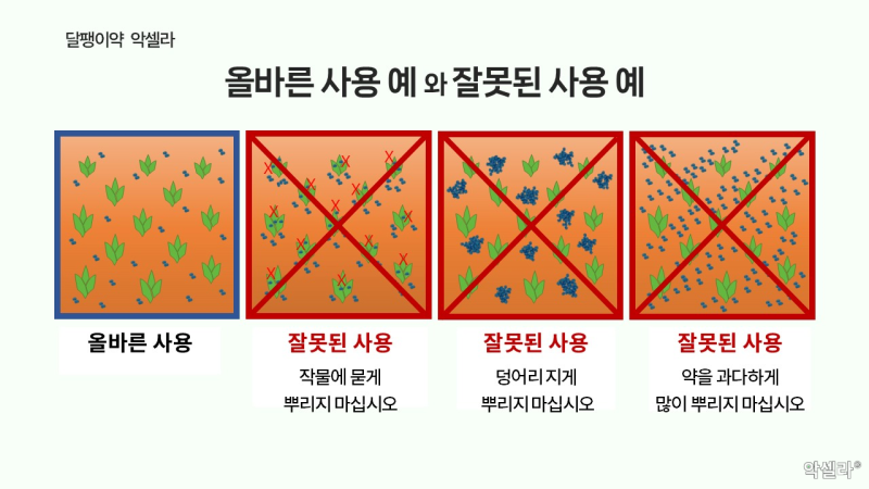1-6 달팽이약 많이 뿌리면 효과가 더 좋겠지? 문제없겠지?