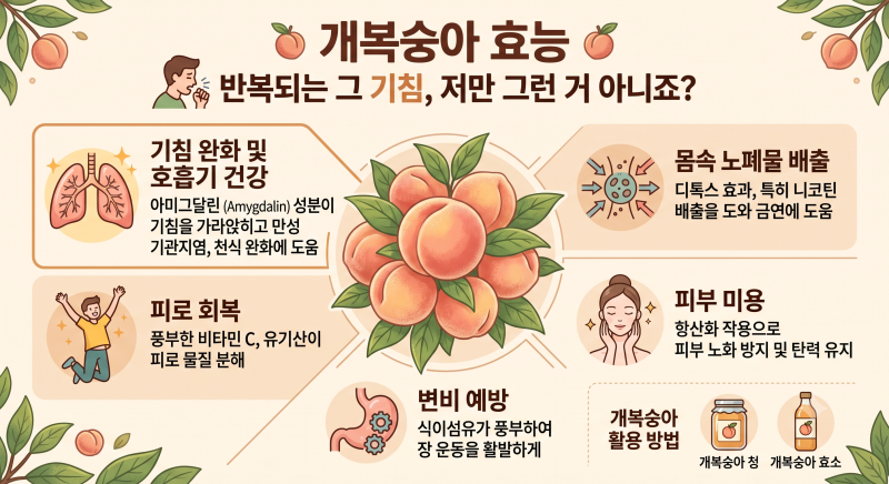 개복숭아 효능, 반복되는 그 기침, 저만 그런 거 아니죠?