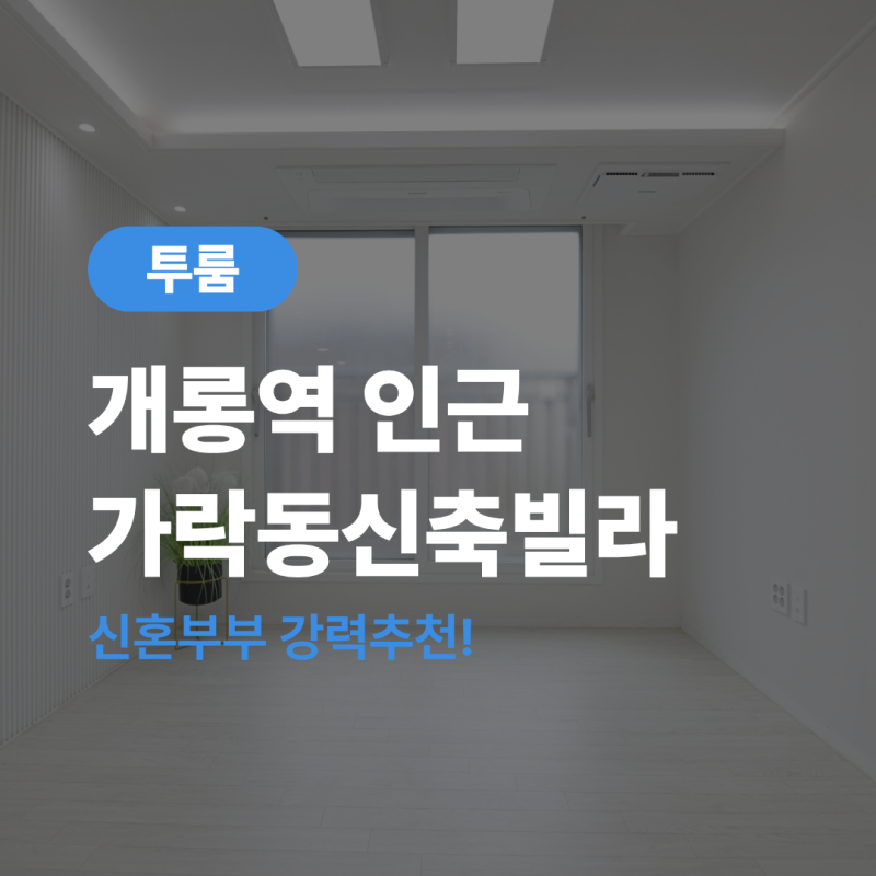 가락동신축빌라 매매 송파구 역세권 투룸 리뷰