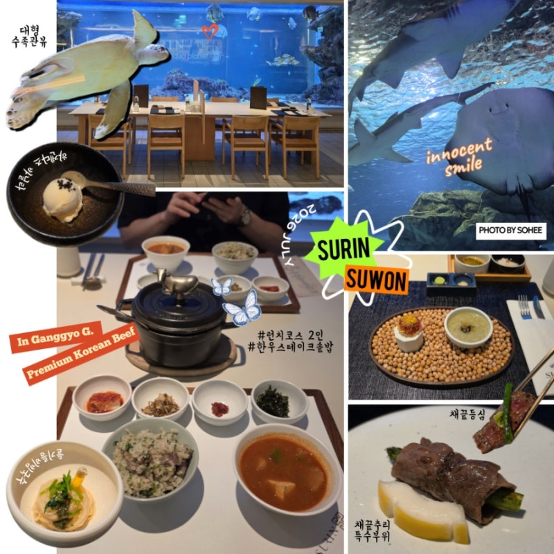 광교 아쿠아플라넷 맛집 수린광교 런치코스 수족관뷰 한우 오마카세