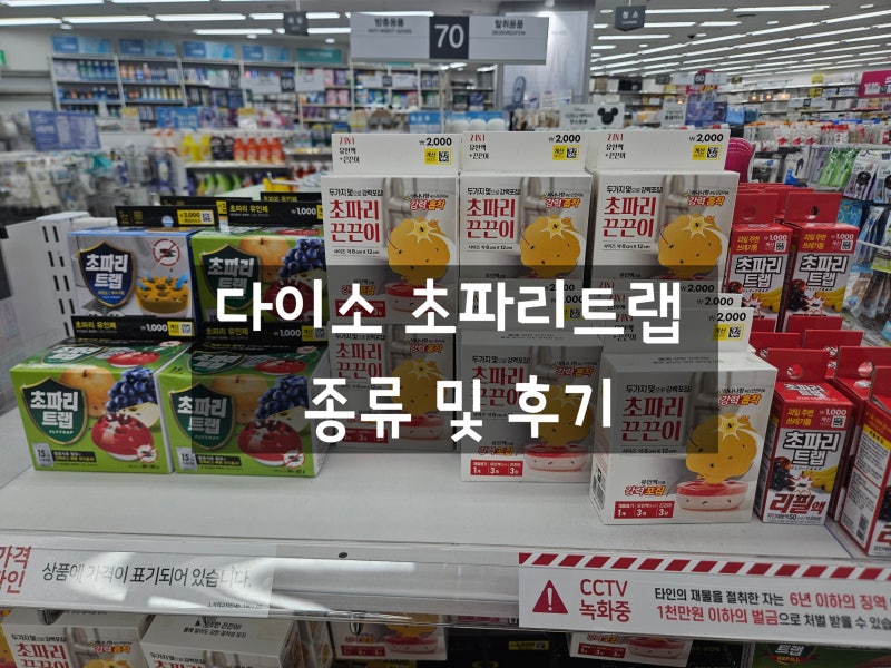 다이소 초파리트랩 위치 종류 가격 사용후기 초파리 없애는 법