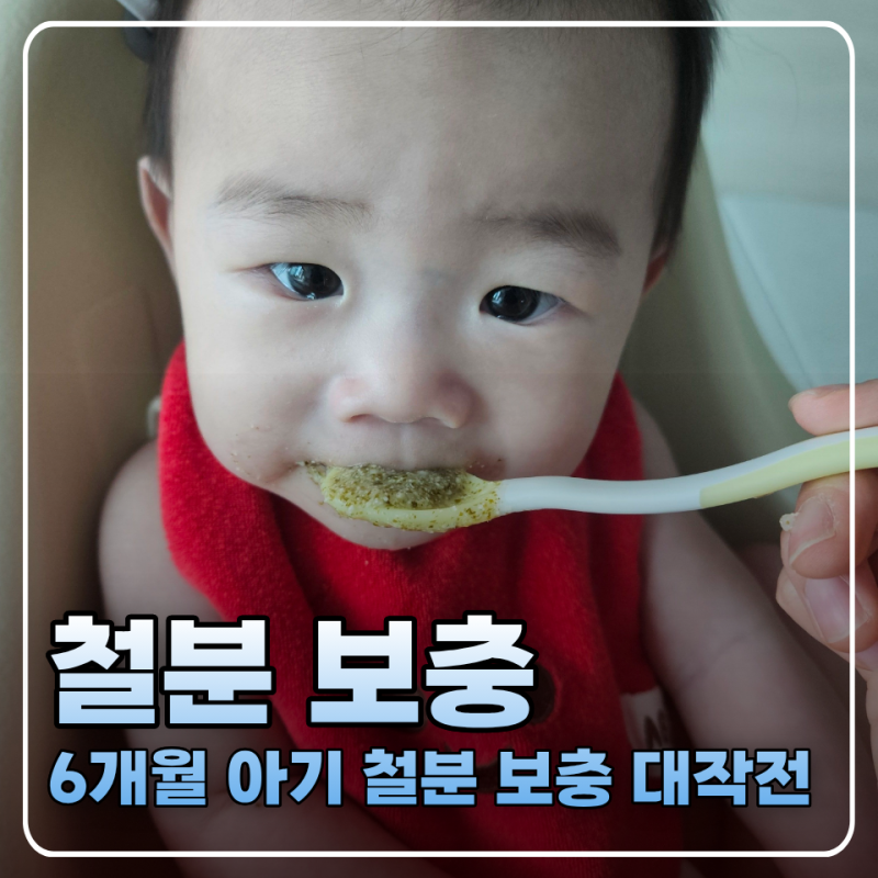 6개월 아기 철분제 챙겨야 할까? 철분 부족 의심 증상, 이유식 보충 방법