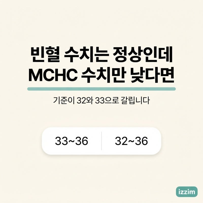 빈혈 수치는 정상인데 MCHC 수치만 낮다면 ｜ 기준이 32와 33으로 갈리는 이유와 함께 볼 두 줄