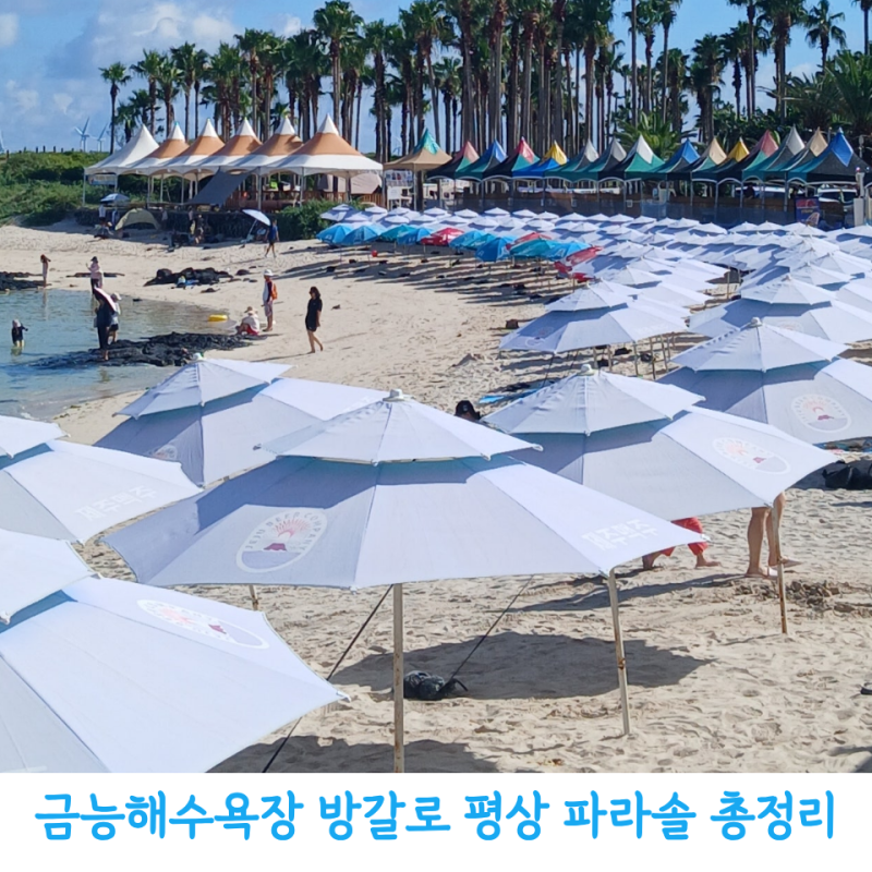 2026 금능해수욕장 방갈로 가격 주차 가능한 자리 평상 파라솔 이용정보
