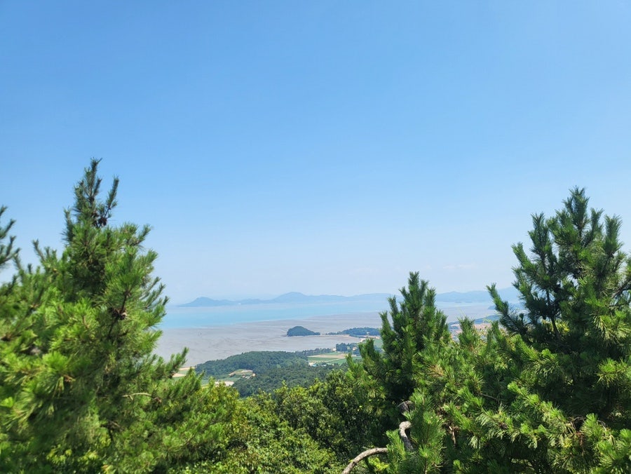 봉대산 사진 6