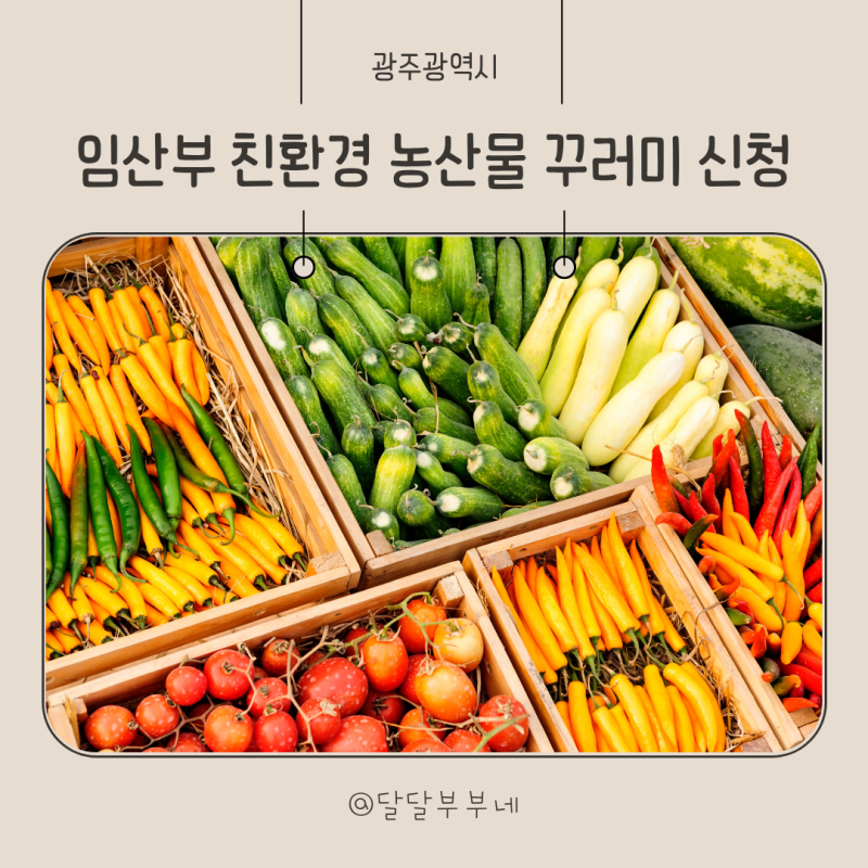 광주광역시 임산부 친환경 농산물 꾸러미 신청 방법 총정리(2026년 지원 대상 및 기간)