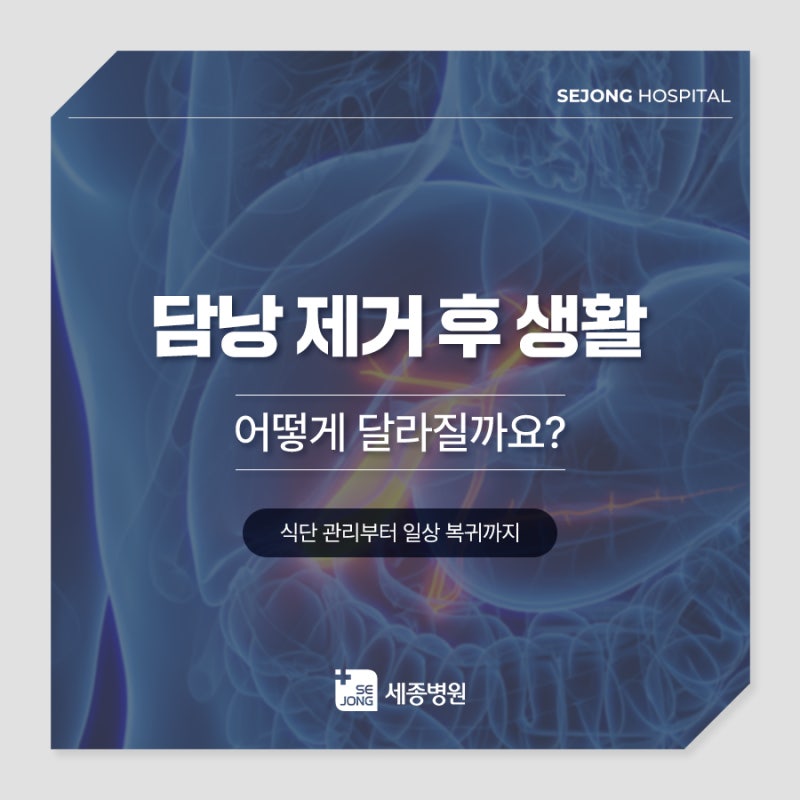 담낭 제거 후 생활 어떻게 달라질까요? 식단 관리부터 일상 복귀까지