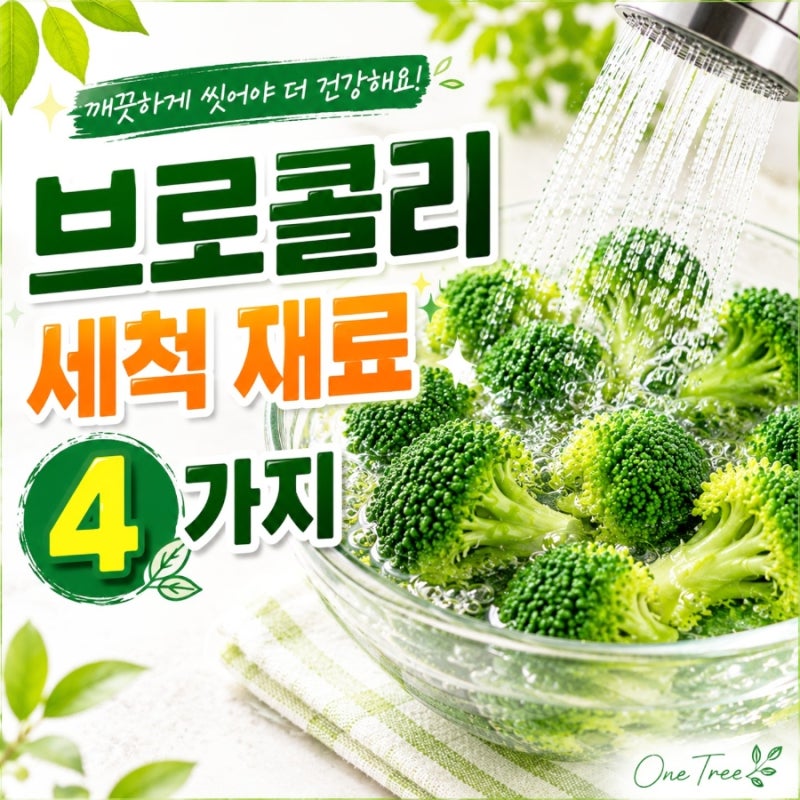 브로콜리 손질 세척 방법부터 데치기 삶는법 찌는법 시간 보관방법 총정리