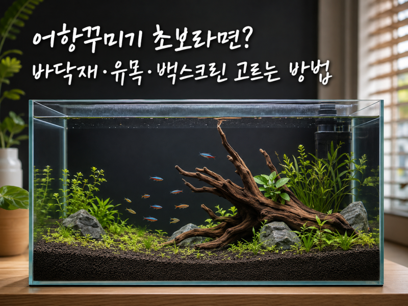 어항꾸미기 초보라면? 바닥재·유목·백스크린 고르는 방법