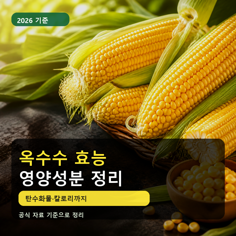 옥수수 효능과 영양성분, 탄수화물까지 한 번에 정리
