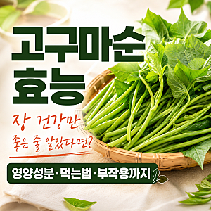 고구마순효능, 장 건강에만 좋은 줄 알았다면? 영양성분·먹는법·부작용까지