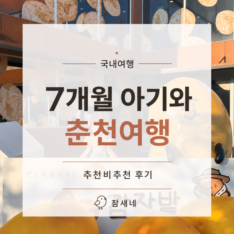 7개월 아기랑 8월 춘천 1박 2일 여행코스, 직접 다녀온 추천비추천 장소