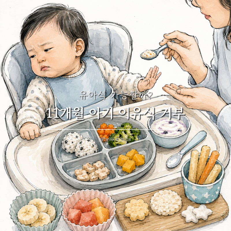 11개월 아기 이유식 거부 유아식 가능할까? 아기간식 종류는?
