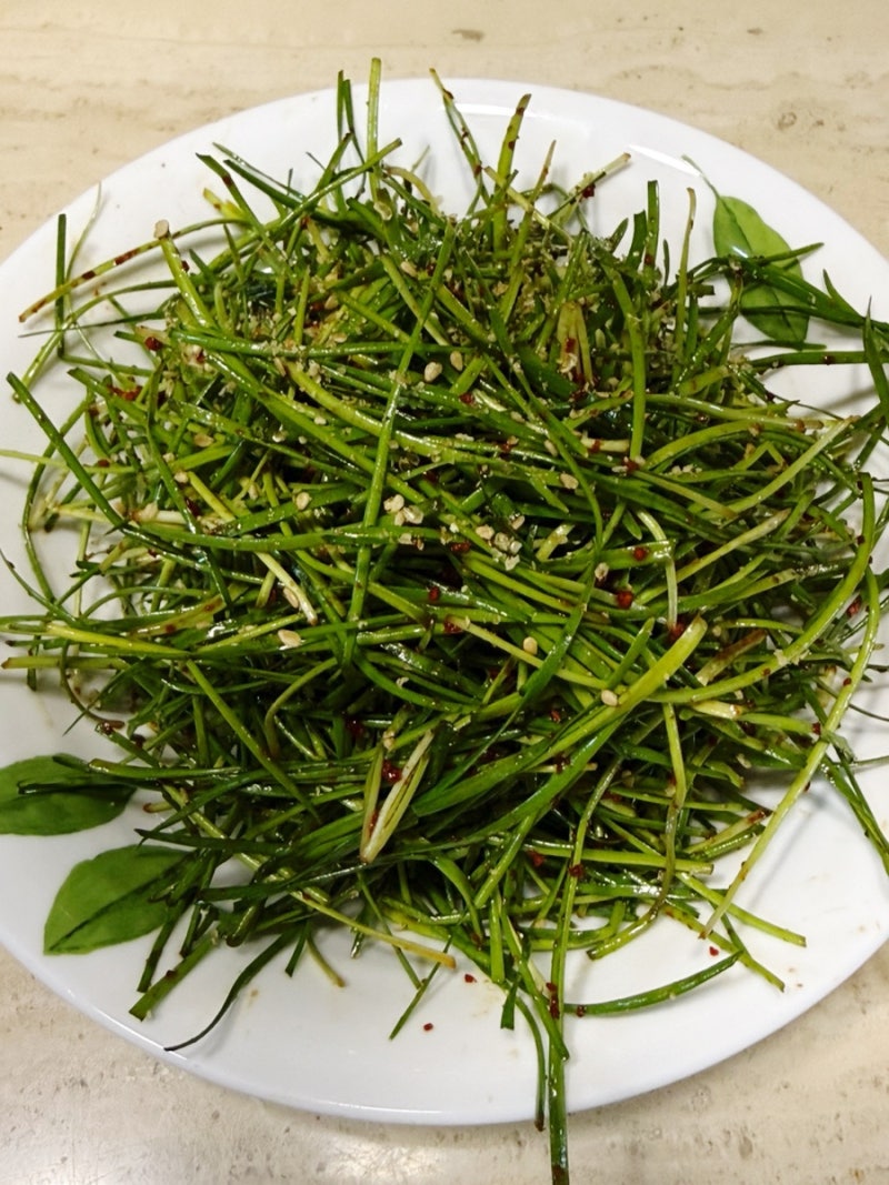 영양부추무침 만들기, 아삭하고 알싸한 맛이 여름철 입맛을 살리는 초간단 밑반찬_영양부추....