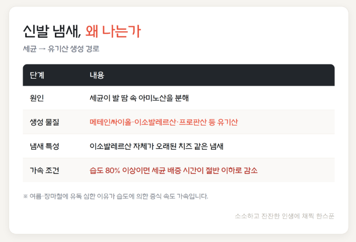 신발 냄새, 베이킹소다보다 먼저 봐야 할 게 있다