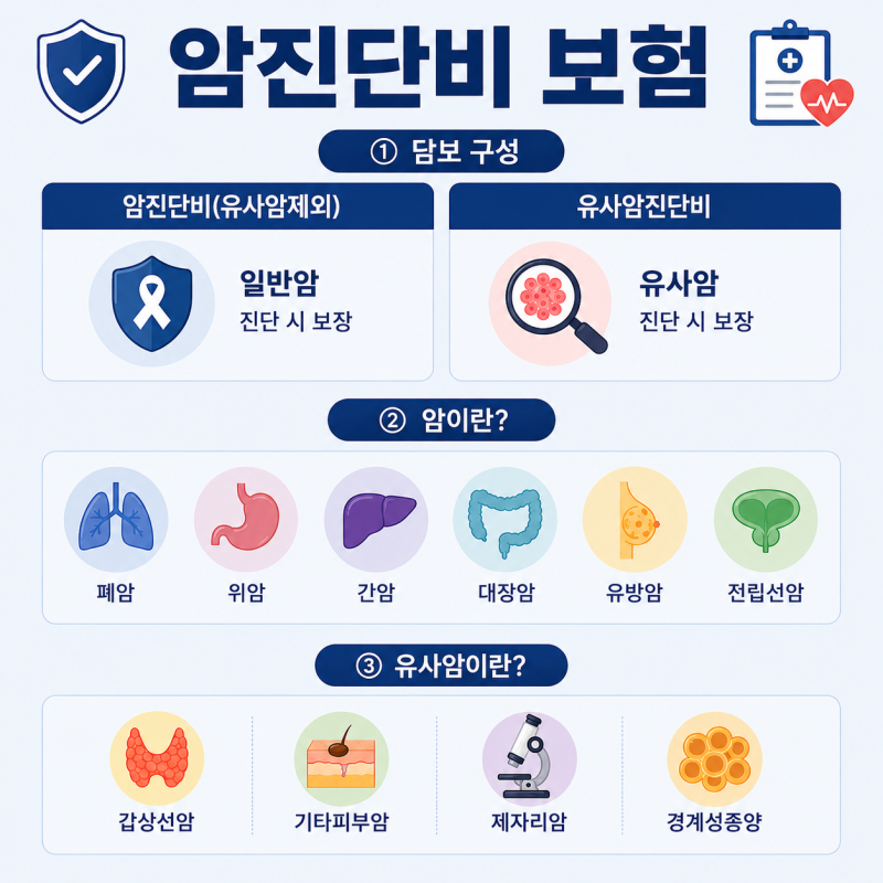 암 진단비 보험 가입 전 꼭 확인해야 할 면책기간, 감액기간, 원발 부위 총정리