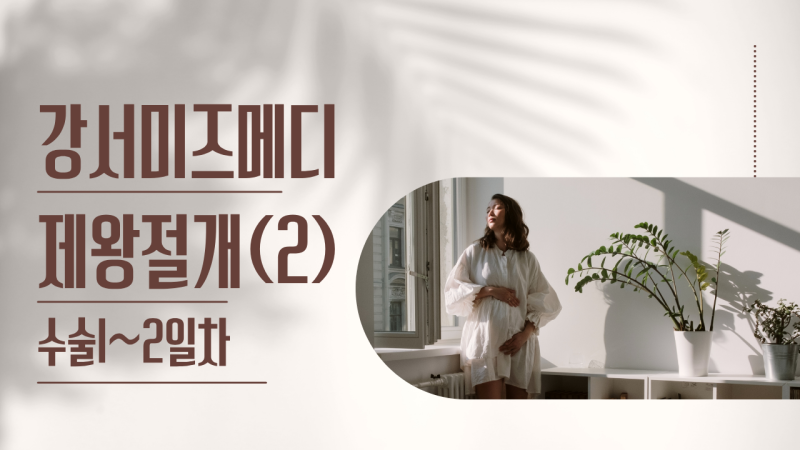 강서 미즈메디 제왕절개 2~3일차: 소변미션, 양수과다 걱정, 첫 수유콜, 복대 착용기