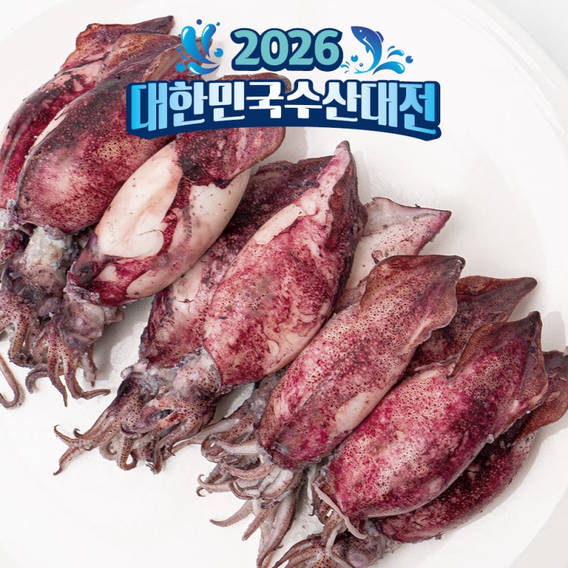 총알 한치 오징어 통찜용 직접 써본 솔직 후기