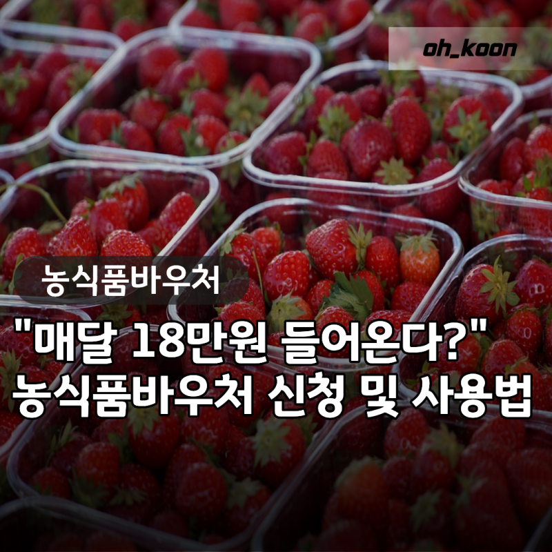 농수산바우처 농식품바우처 카드 "매달 18만원 진짜 들어올까?" 신청방법과 사용처 품목 잔액....
