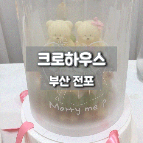크로하우스 부산 서면 전포 레터링 케이크 당일 예약부터 24시간 픽업 가능한 케이크 맛집 추....