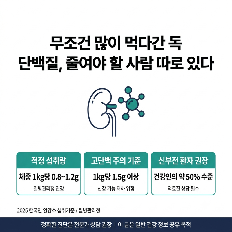단백질 과다섭취 부작용, 신장·뼈·통풍까지 영향 줄 수 있다는 이유