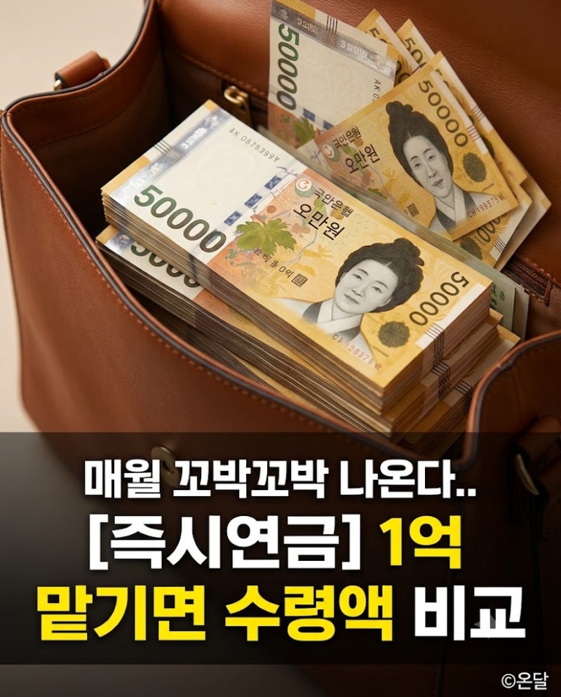 즉시연금 1억 맏기면 매월 얼마 받을까? 실제 수령액과 유형별 비교
