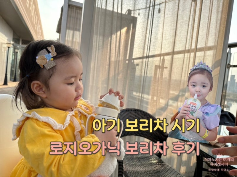 아기 보리차 언제부터? 시기·보관방법·선택법 총정리｜로지오가닉 유기농 보리차 후기